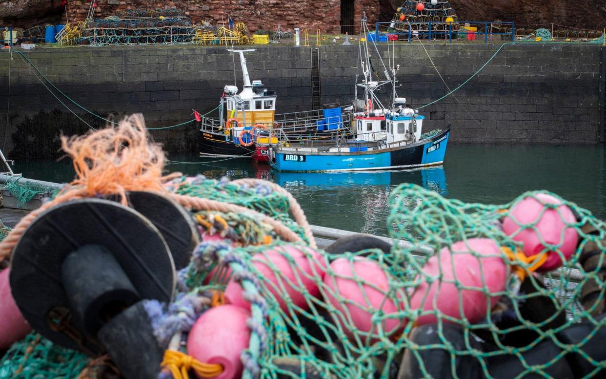 Exports of fresh fish and seafood have been severely disrupted by delays since the UK's transition period ended. - PA