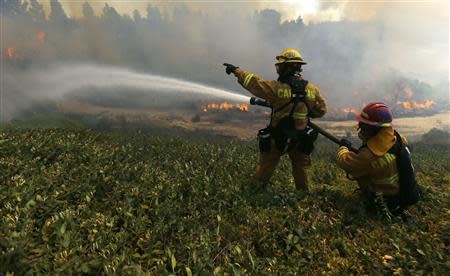 Firefighters battle the so-called Poinsettia Fire as it turns and heads east towards another subdivision of homes in Carlsbad, California May 14, 2014. REUTERS/Mike Blake