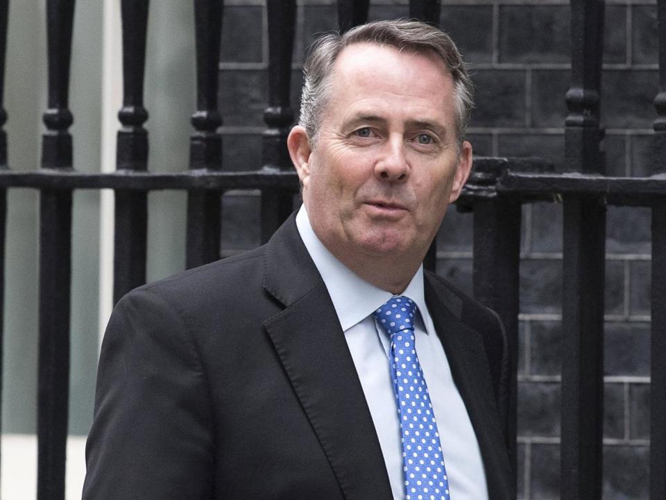 Liam Fox thinks the deal should be one of the 'easiest in human history' (EPA)