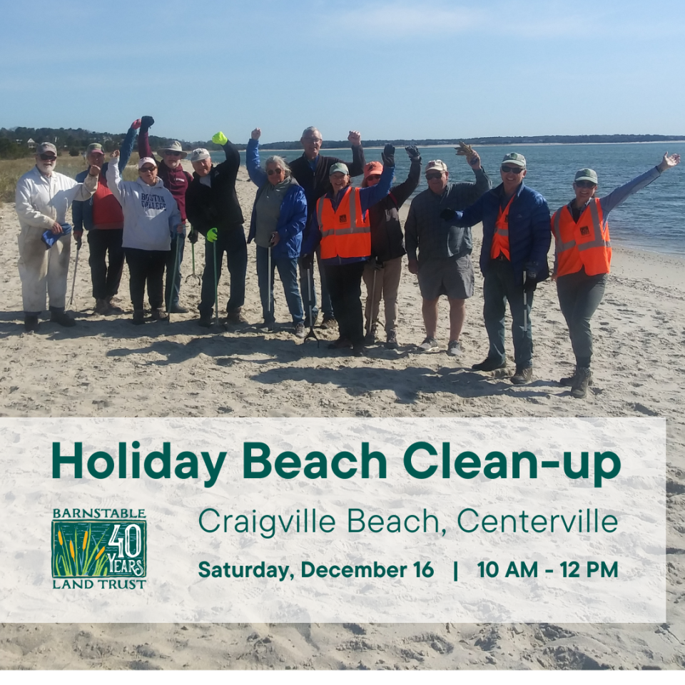 Poster for the Craigville Beach Clean-up.