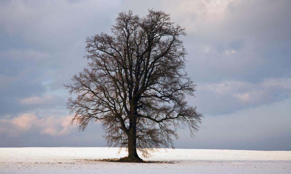 <span>Photograph: Penny Tweedie/Alamy</span>