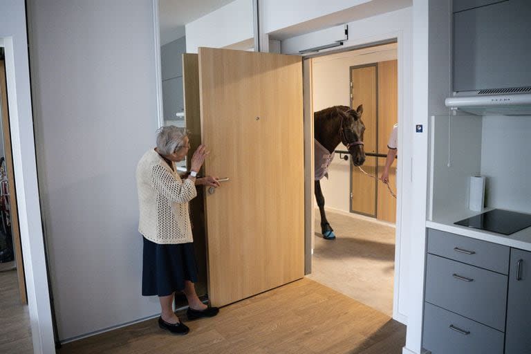 Una pensionista mira a Dounka, una yegua de 10 años, que solía trabajar con personas mayores en MARPA, una residencia para ancianos en Ornans, al este de Francia, el 21 de marzo de 2023