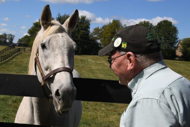 SILVER CHARM  Old Friend Equine