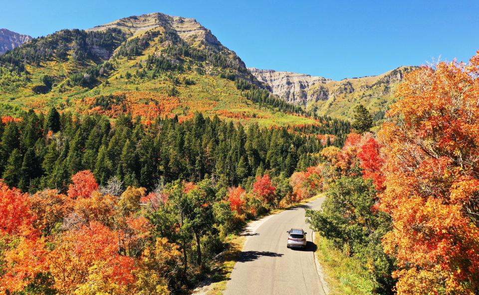 A motorist travels on the Alpine Loop Scenic Byway with a view of the fall colors on Tuesday, Sept. 26, 2023. | Jeffrey D. Allred, Deseret News