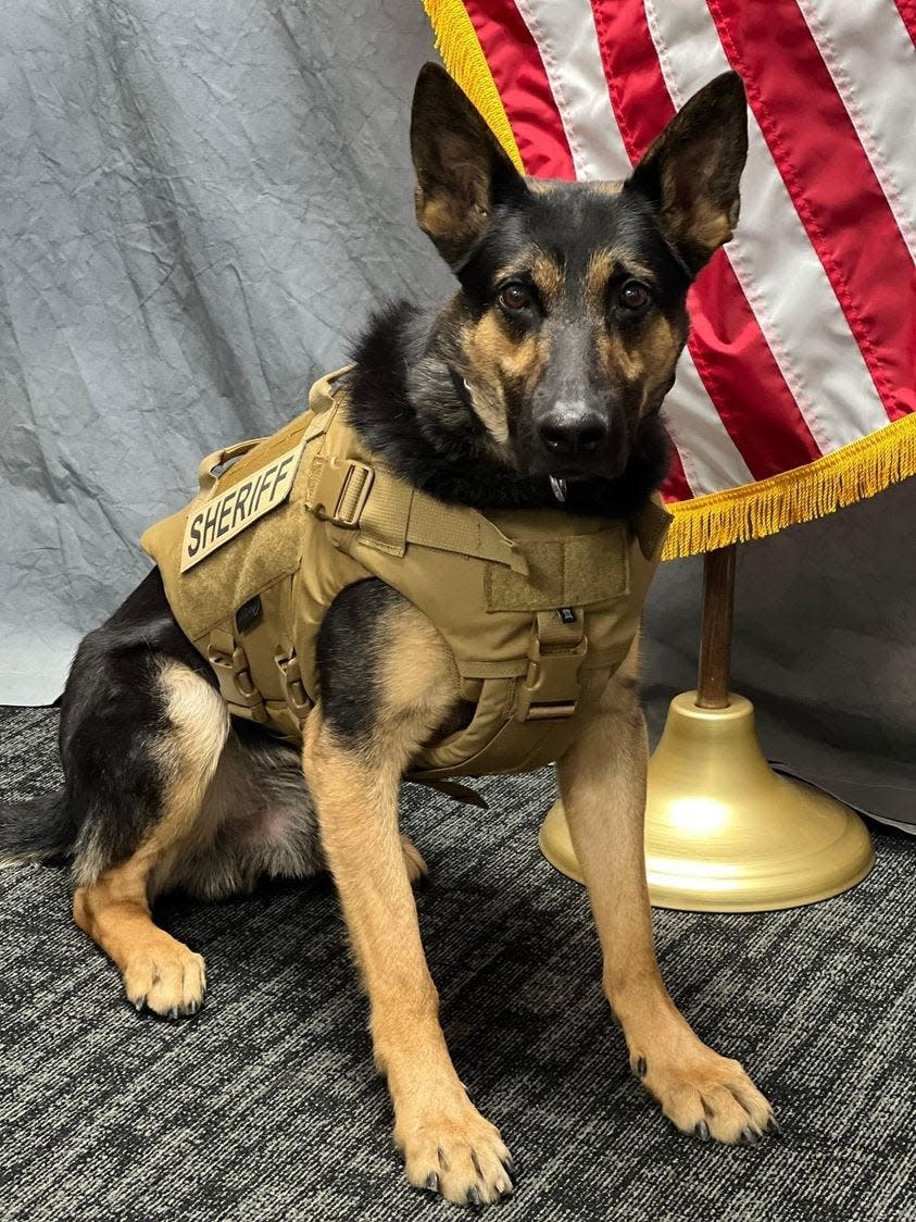 Fond du Lac County Sheriff's Office police dog Iro