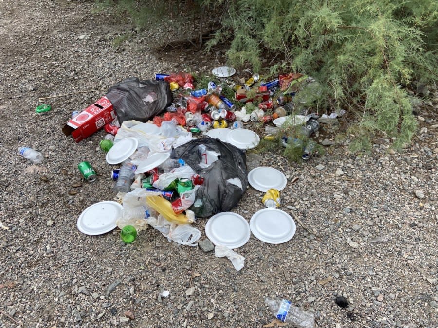 Litter at Lake Mead. (Credit: National Park Service)