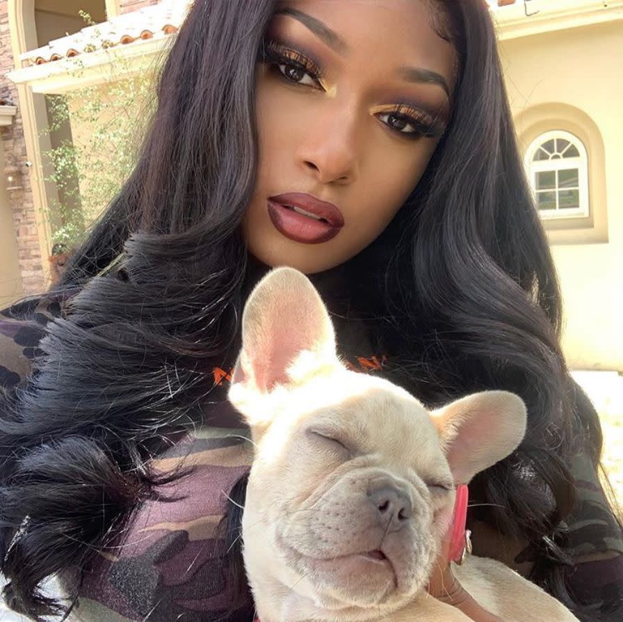 "Savage" rapper Megan Thee Stallion snaps a selfie with her new puppy Dos Thee Stallion on June 24, 2020. "Trying to teach dos to be as camera ready as 4oe."