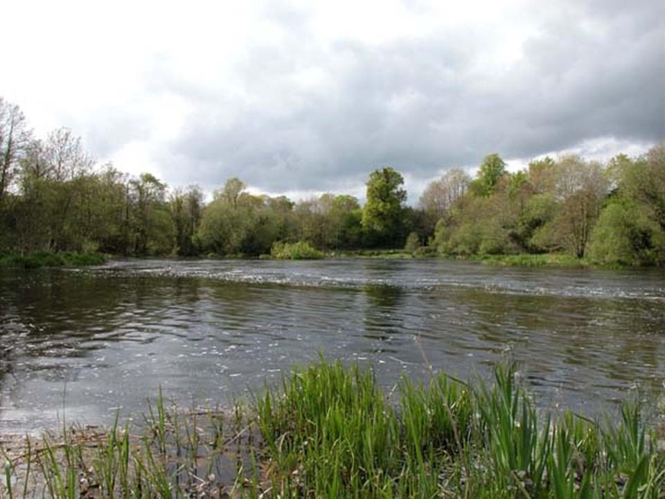 The Hermitage site, where researchers found Ireland's oldest known burial. <cite>Courtesy of Aimée Little</cite>