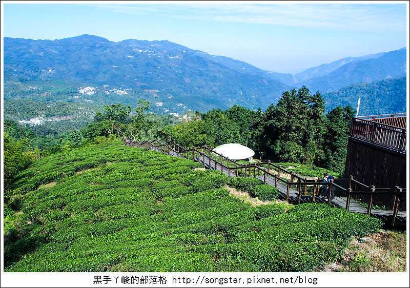 【嘉義】龍山國小 太興岩步道 交力坪車站