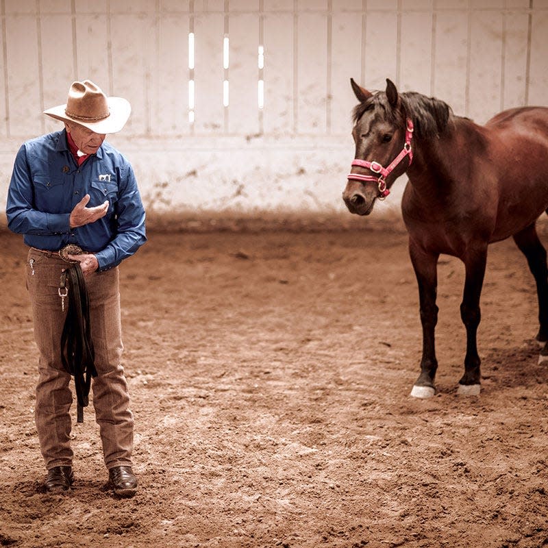 Horse trainer Monty Roberts in action on his ranch in California.