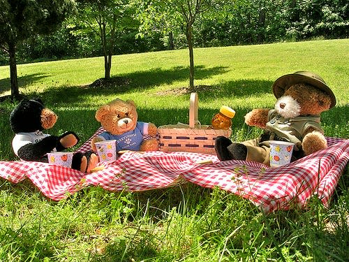 Teddy Bear Picnic Aug. 9 at the Fall River Public Library.