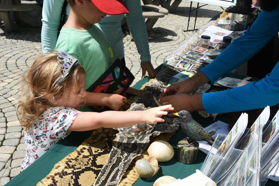 Saturday, May 4, is Estuaries Day at Rookery Bay's Environmental Learning Center, with free admission,