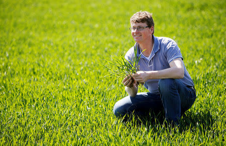 Juergen Schwarzensteiner, factory manager of "Poschinger Bray'sche Gueterverwaltung", controls the growth of the grain plant at a field in Irlbach near Deggendorf, Germany, April 21, 2016. REUTERS/Michaela Rehle