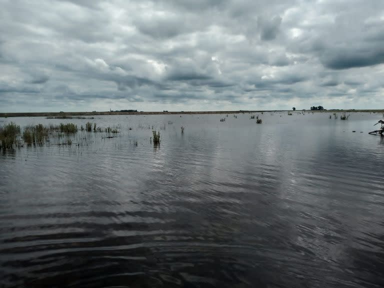 El campo de German Fernández en Cañada Seca, bajo el agua