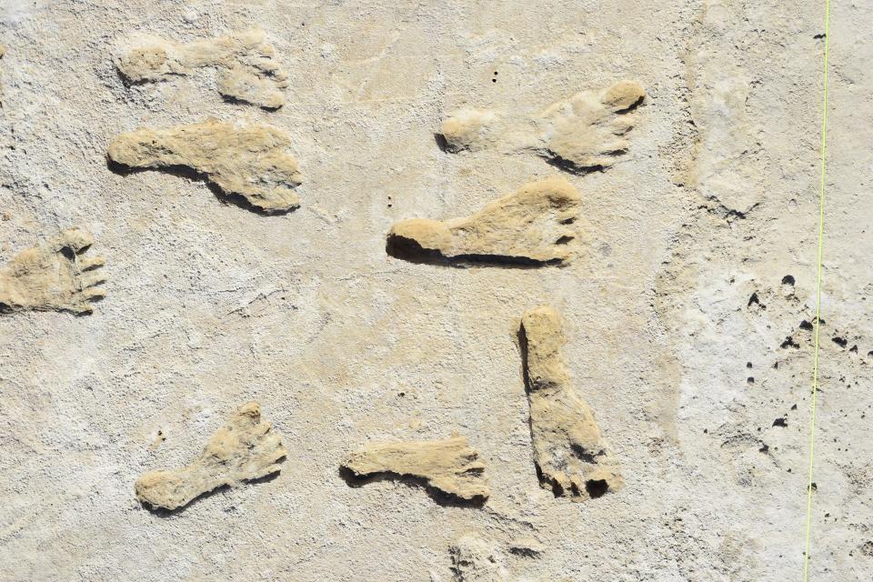 Fossilized footprints in White Sands National Park in New Mexico are now believed to be 23,000 years old, according to a new study.