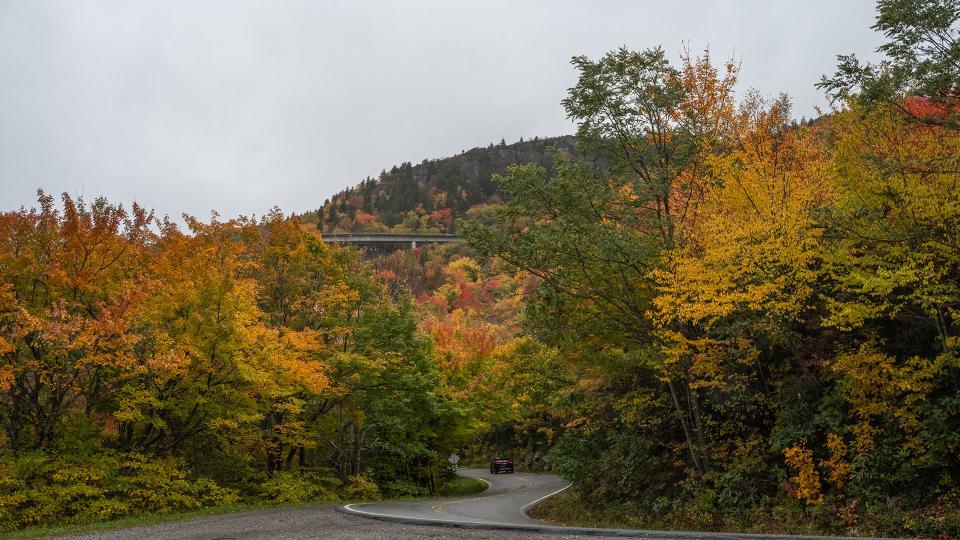 Oct. 16, 2023: Color has really ramped up across the area in the last few days, as seen in this iconic view of the Linn Cove Viaduct from U.S. 221. The surrounding towns of Linville, Blowing Rock, Banner Elk, Beech Mountain and Boone are all great locations to see widespread and vibrant color. This photo was taken on Sunday.