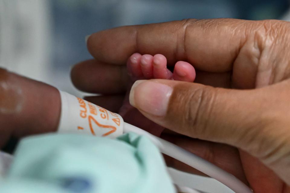 Foto: Luis Robayo / AFP vía Getty Images.