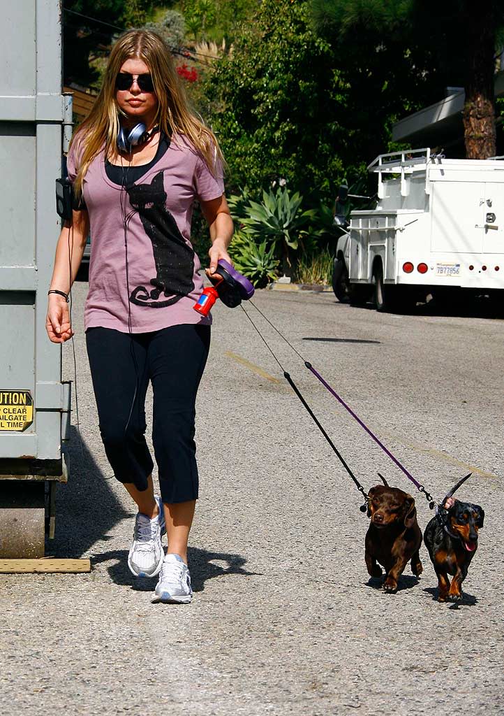 Fergie Walks Dogs