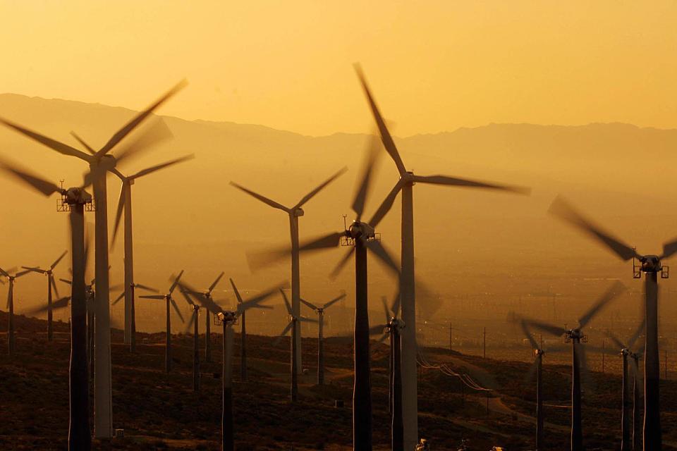 <p>Ex-president Donald Trump issued a statement on Tuesday warning against windmills that ‘kill birds, affect the sea, ruin the landscape, and create disasters for navigation’</p> (LEE CELANO/AFP via Getty Images)