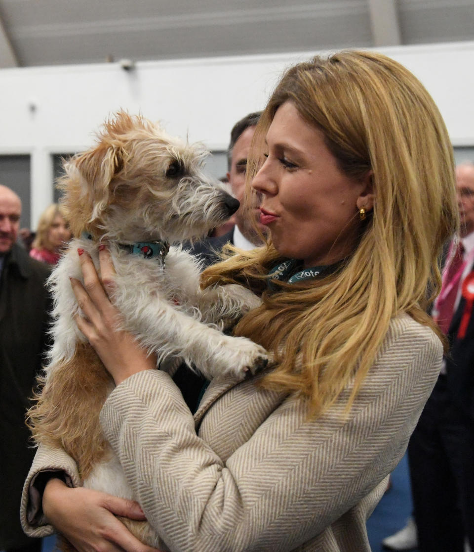 Prime Minister Boris Johnson's partner Carrie Symonds and dog Dilyn arriving for the count for the Uxbridge & Ruislip South constituency in the 2019 General Election.