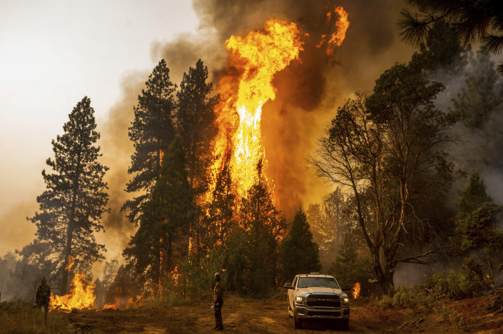 A firefighter monitors a backfire, flames lit by fire crews to burn off vegetation, while battling the Mosquito Fire in the Volcanoville community of El Dorado County, Calif., on Friday, Sept. 9, 2022. (AP Photo/Noah Berger)