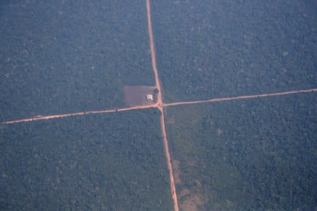 An aerial view of the Amazon near Humaita