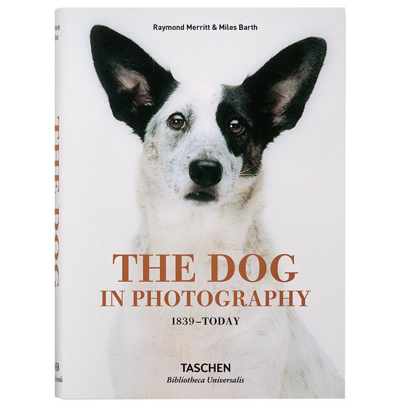 'The Dog in Photography: 1839-Today'