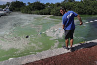 <p>Tom Wippick, from the Florida Department of Environmental Protection, takes an algae-laden water sample for testing near the Central Marine boat dock along the St. Lucie River in Stuart, Fla., July 11, 2016. (Photo: Joe Raedle/Getty Images) </p>