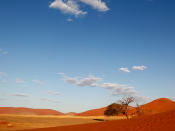 <p>Viel Schönheit können Besucher auch in Namibia entdecken. Es gibt kaum etwas, dass mit Sossusvlei vergleichbar wäre. Die hohen Sanddünen sind seit 2013 Teil des UNESCO-Welterbes. (Bild-Copyright: ddp Images) </p>