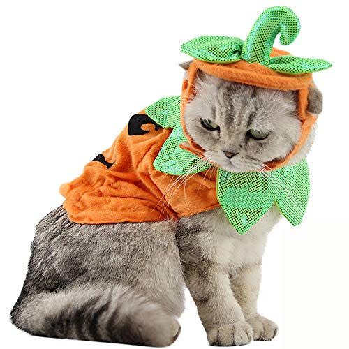 Pumpkin Costume for Cats