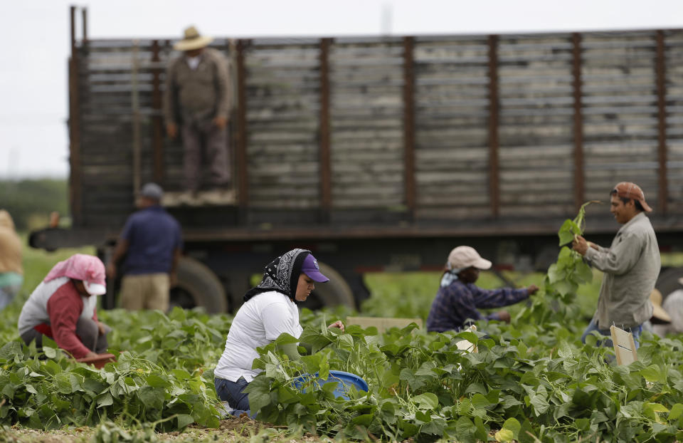 From tech to agriculture, U.S. employers are clamoring for the government to increase the number of immigrant visas to supply their industries with workers. Imagine what our economy would look like if people in Alabama couldn't move to take jobs in New York City, or if people in Louisiana couldn't work for a better future in Texas. That's more or less what our immigration policy currently looks like.   