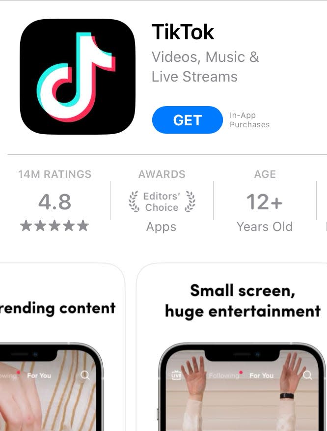 The social media app TikTok is available for iPhones on Apple's App Store.