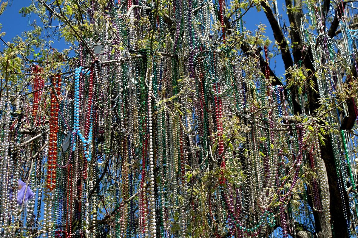 Tulane's Mardi Gras Bead Tree – New Orleans, Louisiana - Atlas Obscura