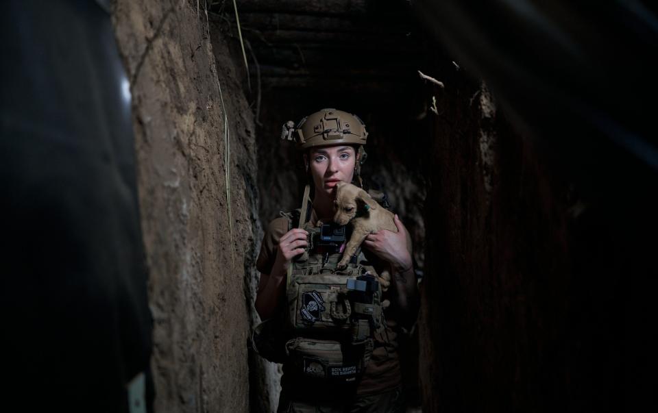 Psychologist Vita holding the puppy "Knopa" in a dugout on April 27, 2024 in Kherson region