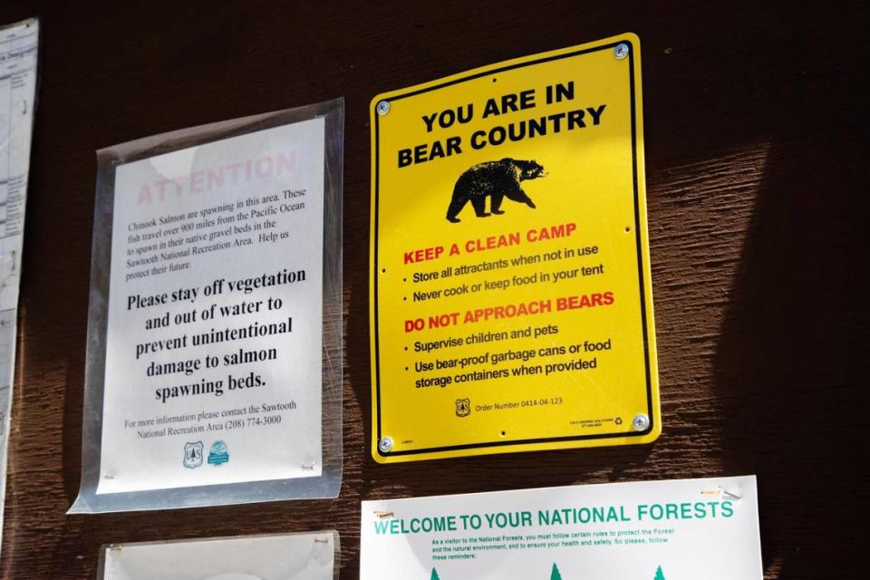 Campground bulletin boards remind visitors to the Sawtooth National Recreation Area and neighboring area campgrounds to not approach bears or harm wildlife habitat for salmon.