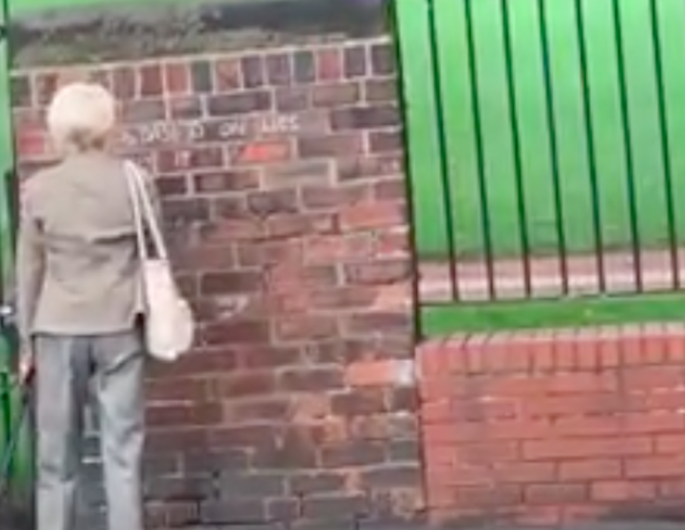 The woman scrawled an anti-Brexit slogan on the wall (Picture: Carla Petts/Facebook)