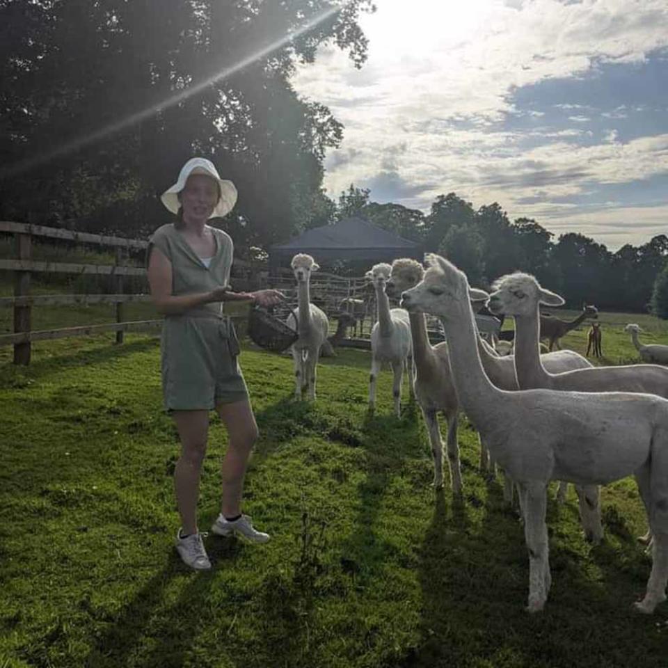 Lucy now works on a farm with over 40 alpacas (Collect/PA Real Life).