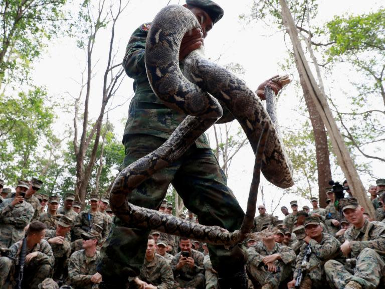 US troops drink blood from decapitated cobras in annual Thailand military exercise