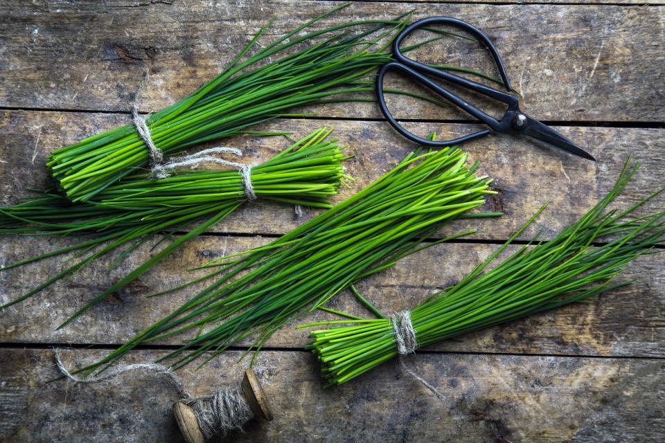 <h1 class="title">Chives</h1><cite class="credit">Photo by Shutterstock</cite>