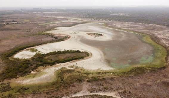 FILE PHOTO: An aerial view shows the Santa Olalla lagoon in the Donana wetlands of southern Spain