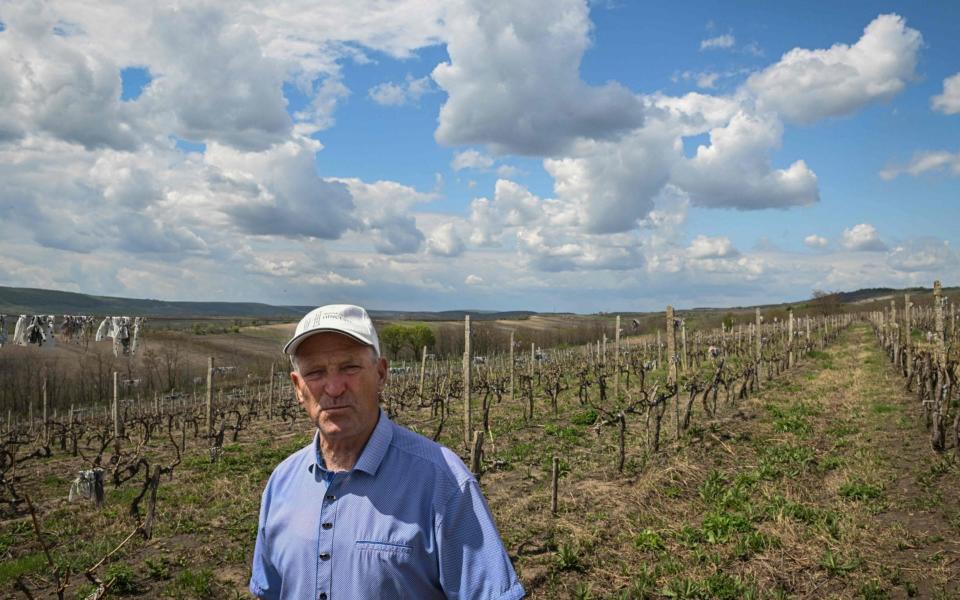 Winemaker Nicolae Tronciu in his vineyard in the Moldovan village of Pereni - AFP