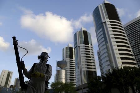 A municipal worker sprays insecticide at the neighborhood of Imbiribeira in Recife, Brazil, January 26, 2016. REUTERS/Ueslei Marcelino