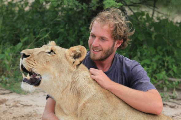 Sirga the lion taught to hunt by man that saved her Val Gruener