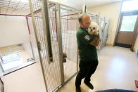 <p>In this image released on Thursday, Sept. 24, 2015, Adam Parascandola, Humane Society International’s director of animal protection and crisis response, holds a small dog at the San Diego Humane Society. The dog is one of 103 dogs rescued from a dog meat farm in South Korea in mid-September as part of HSI’s campaign to fight the dog meat trade throughout Asia. The dogs were transported to animal shelters in California and Washington State, where they will be evaluated and put up for adoption. (Sandy Huffaker/AP Images for The Humane Society of the United States) </p>