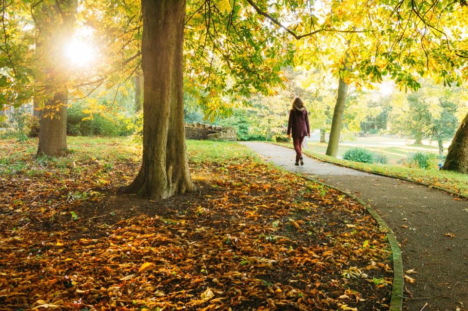 Walk through the park.