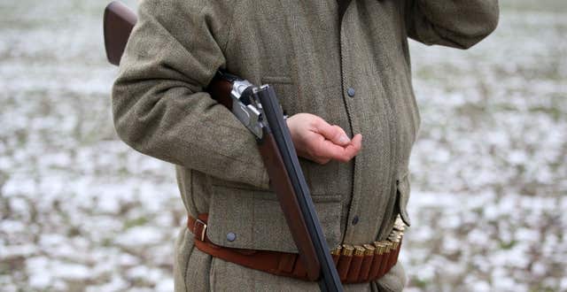 Pheasant shooting