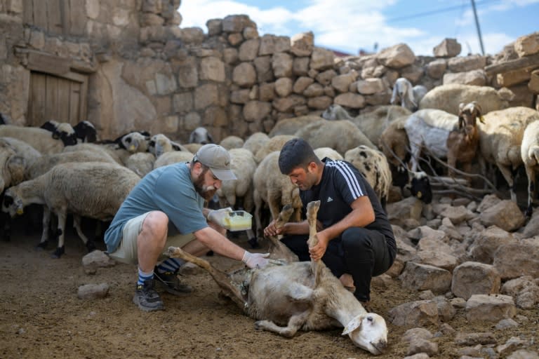 Hasan Kizil volunteers to treat animals injured in a fire (Yasin AKGUL)