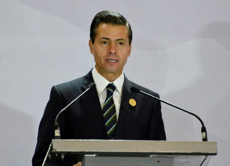 Mexican President Enrique Pena Nieto told a summit in San Jose he would keep the countries represented informed of aspects of its talks with the US that would affect them