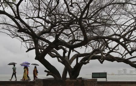 Beachgoers stroll along the Fort Kochi beach while holding umbrellas during a rain shower in Kochi May 29, 2013. REUTERS/Sivaram V/Files