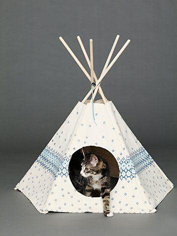 white minature cat tipi